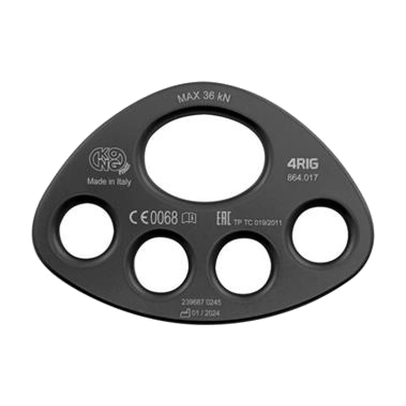 4RIG — KONG